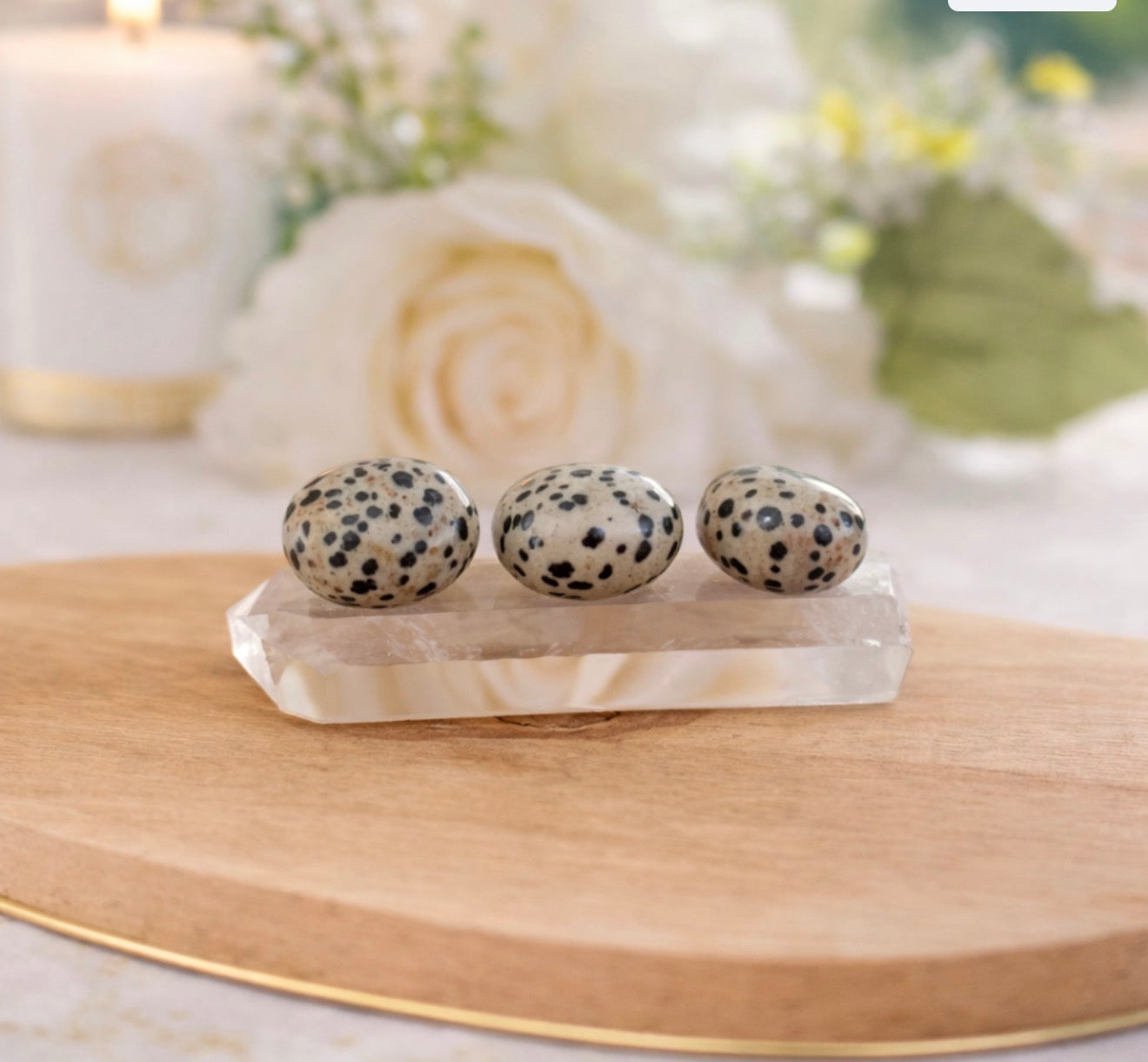 Jaspe Dalmatien