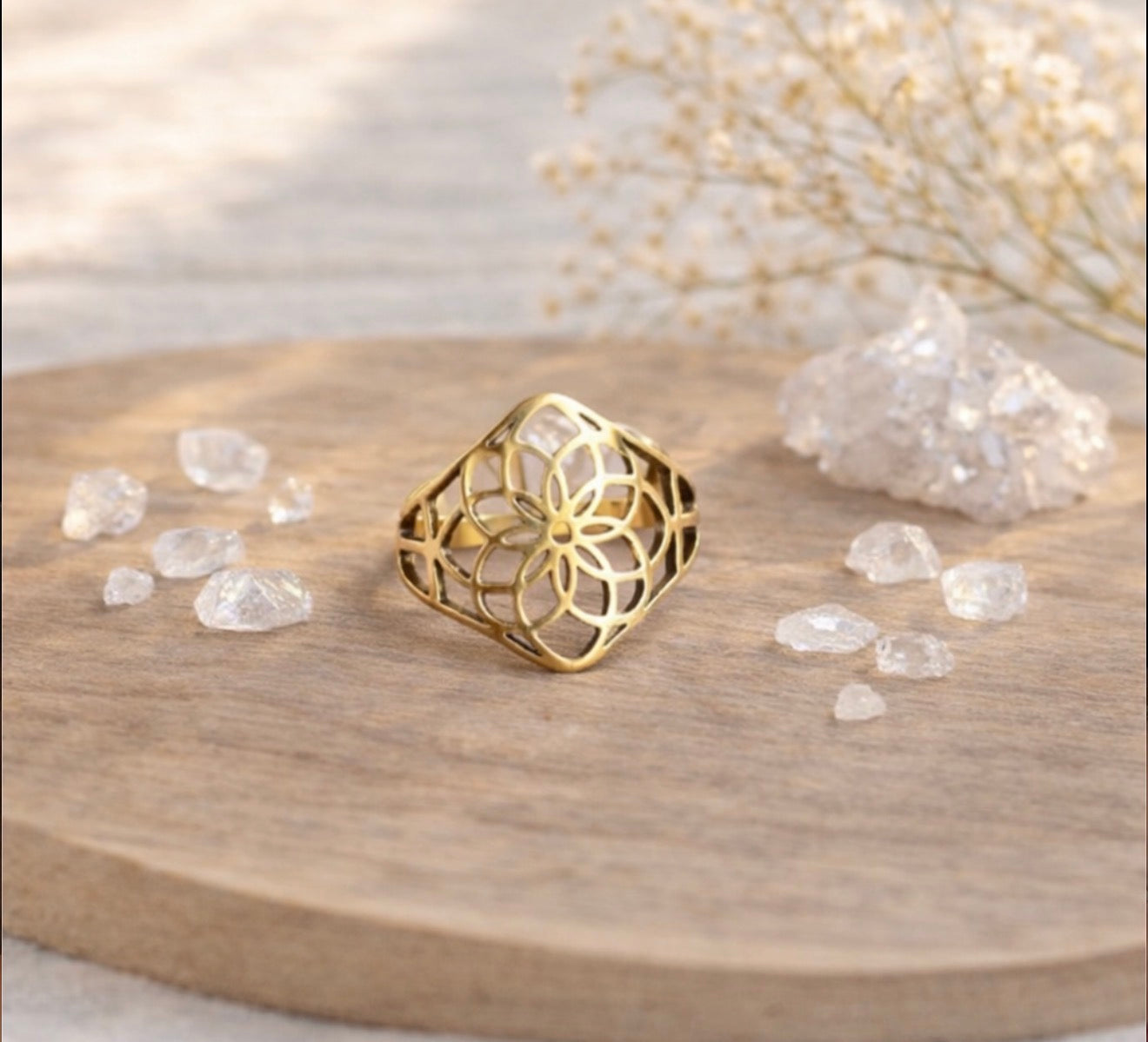 Bague en acier inoxydable