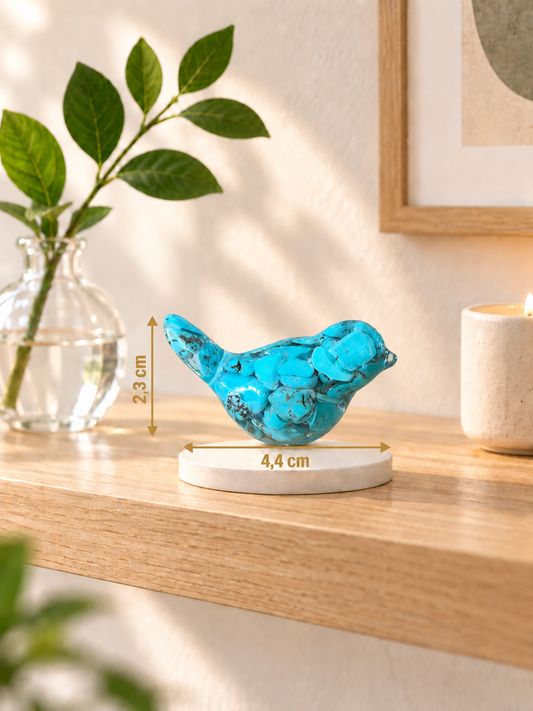 L’oiseau porte bonheur 🩵