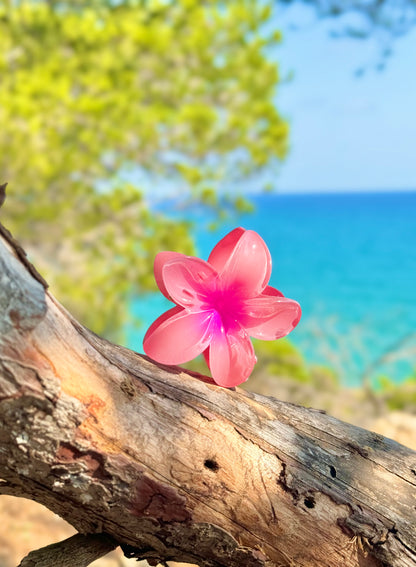 Pince Miami Beach Rose foncé 💖