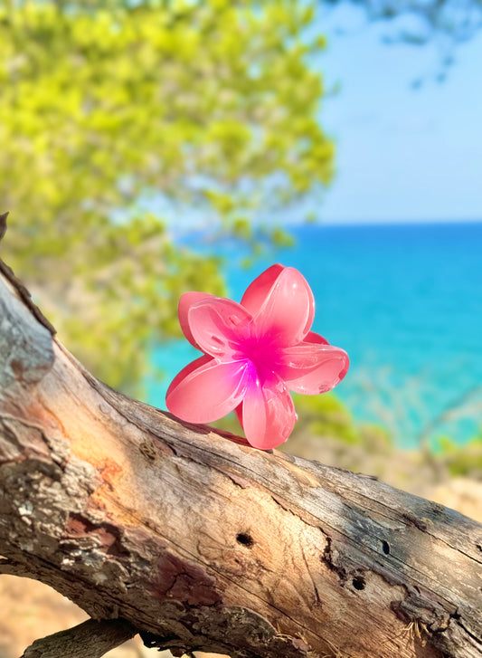 Pince Miami Beach Rose foncé 💖