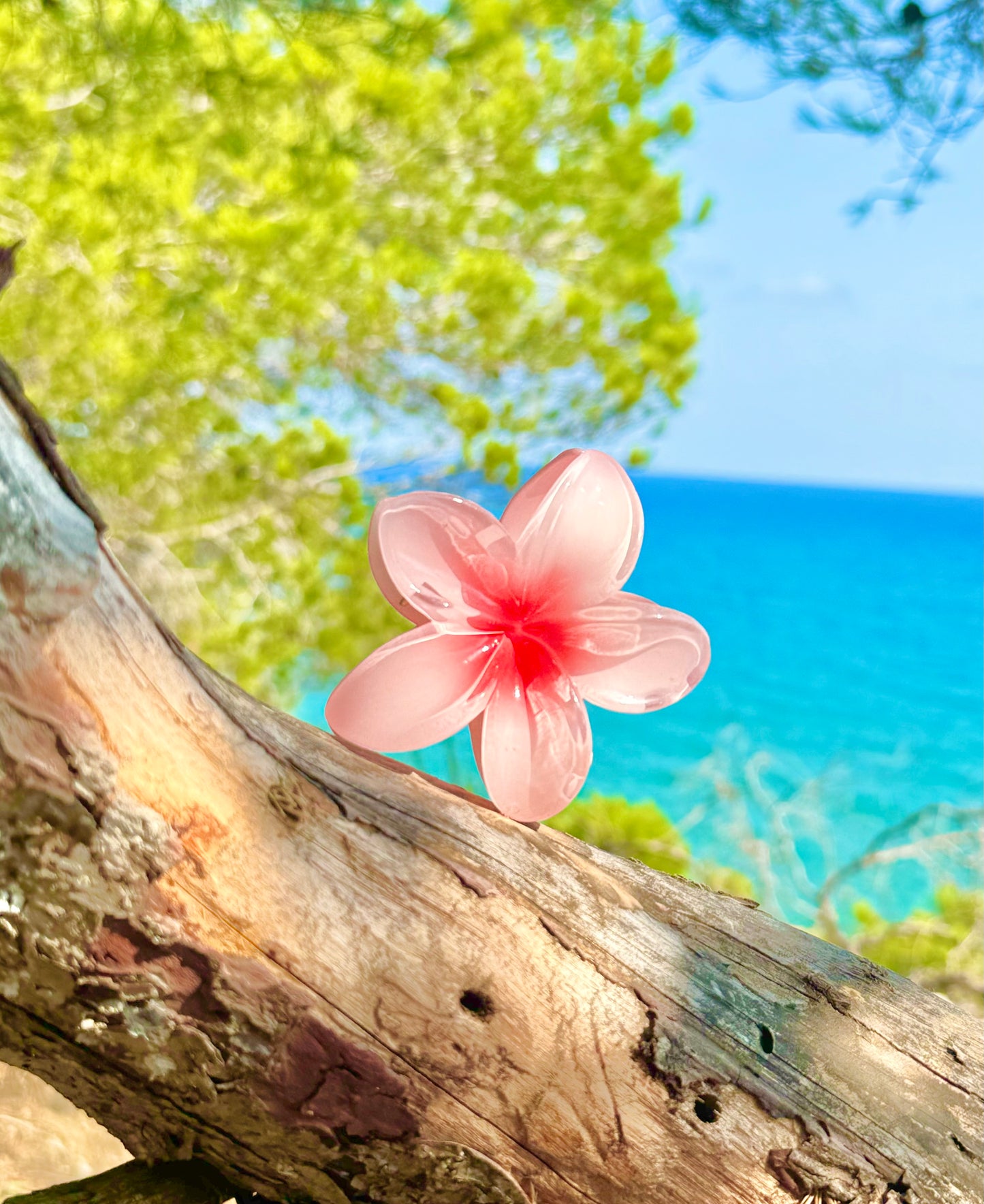 Pince Miami Beach Rose pale 💕