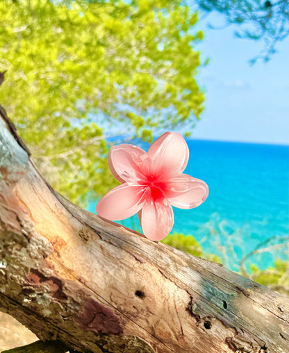 Pince Miami Beach Rose pale 💕