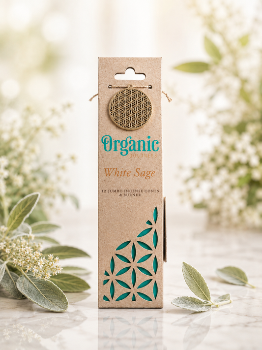 Encens en cône sauge blanche avec brûleur 💚