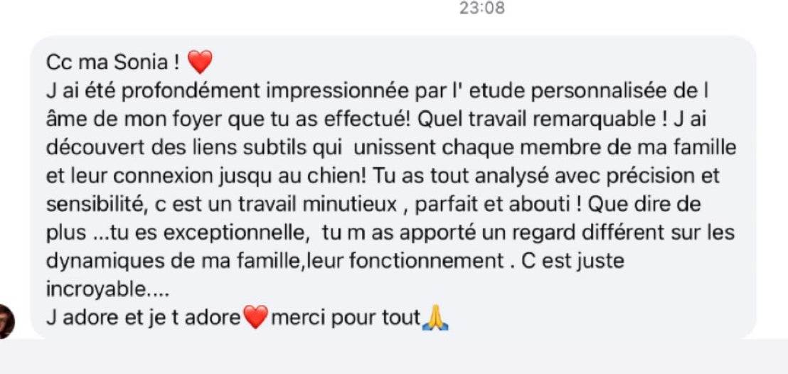 L’âme du foyer ✨ 

Cartographie Vibratoire Familiale Personnalisée