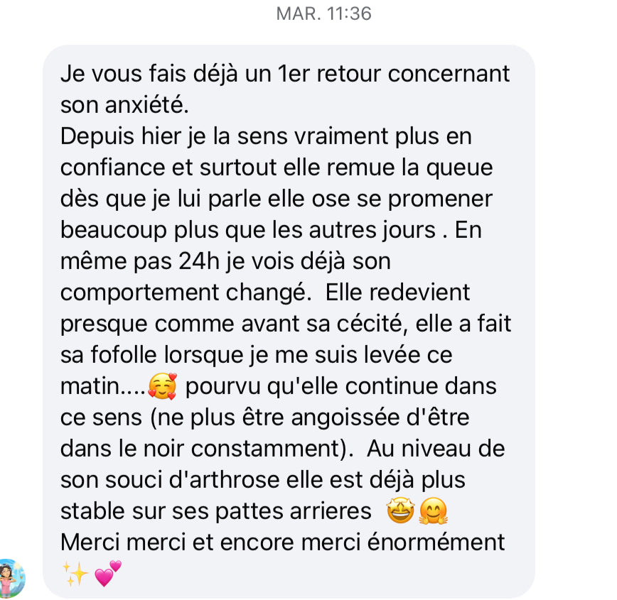 Soin énergétique dédié aux animaux 💕