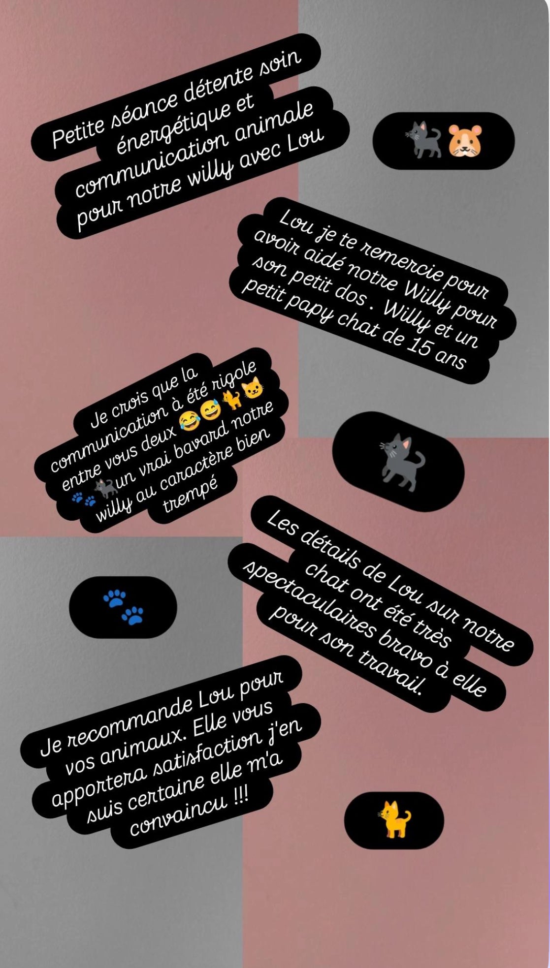 Soin énergétique dédié aux animaux 💕