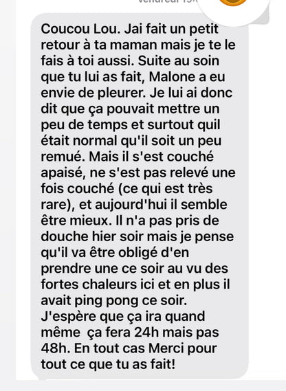 Soin énergétique