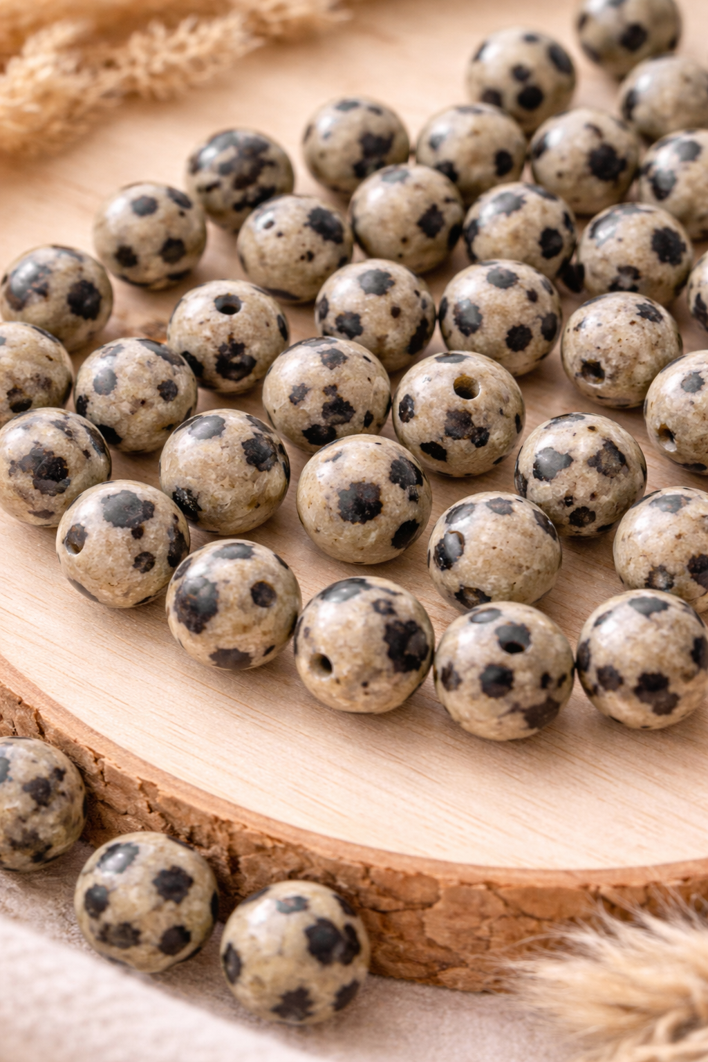 Jaspe dalmatien