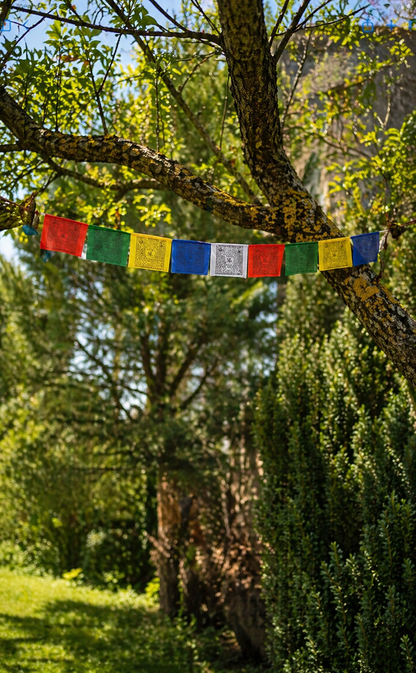 Drapeaux tibétains
