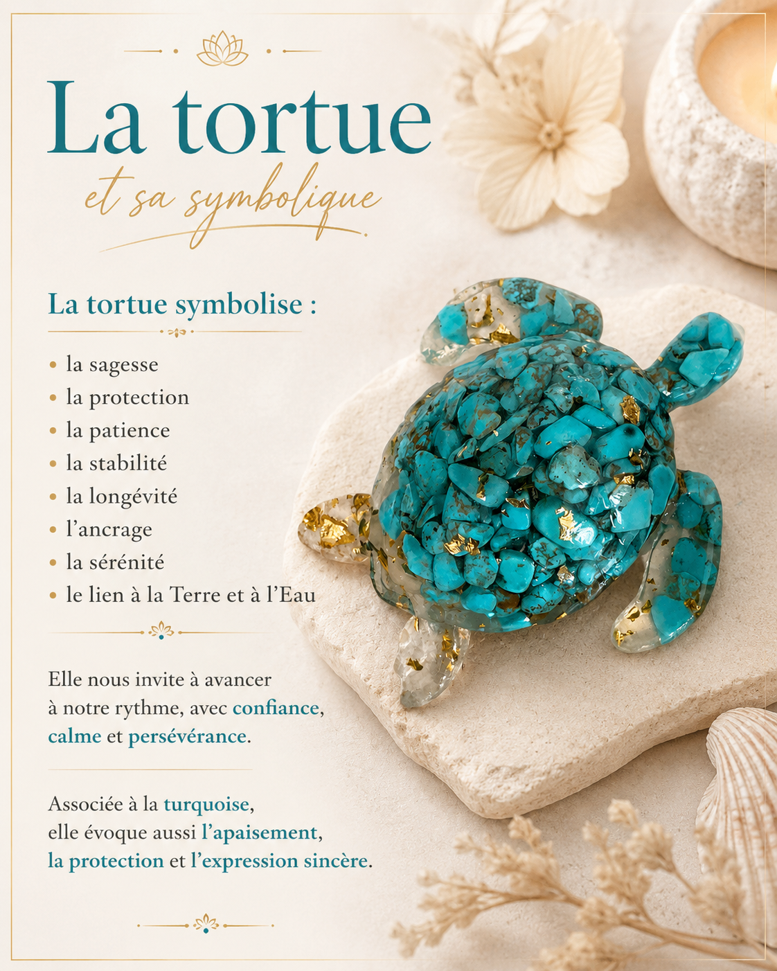 Tortue abondance et sérénité
