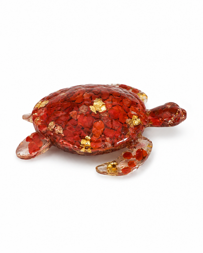 Tortue d’abondance : force , ancrage et protection