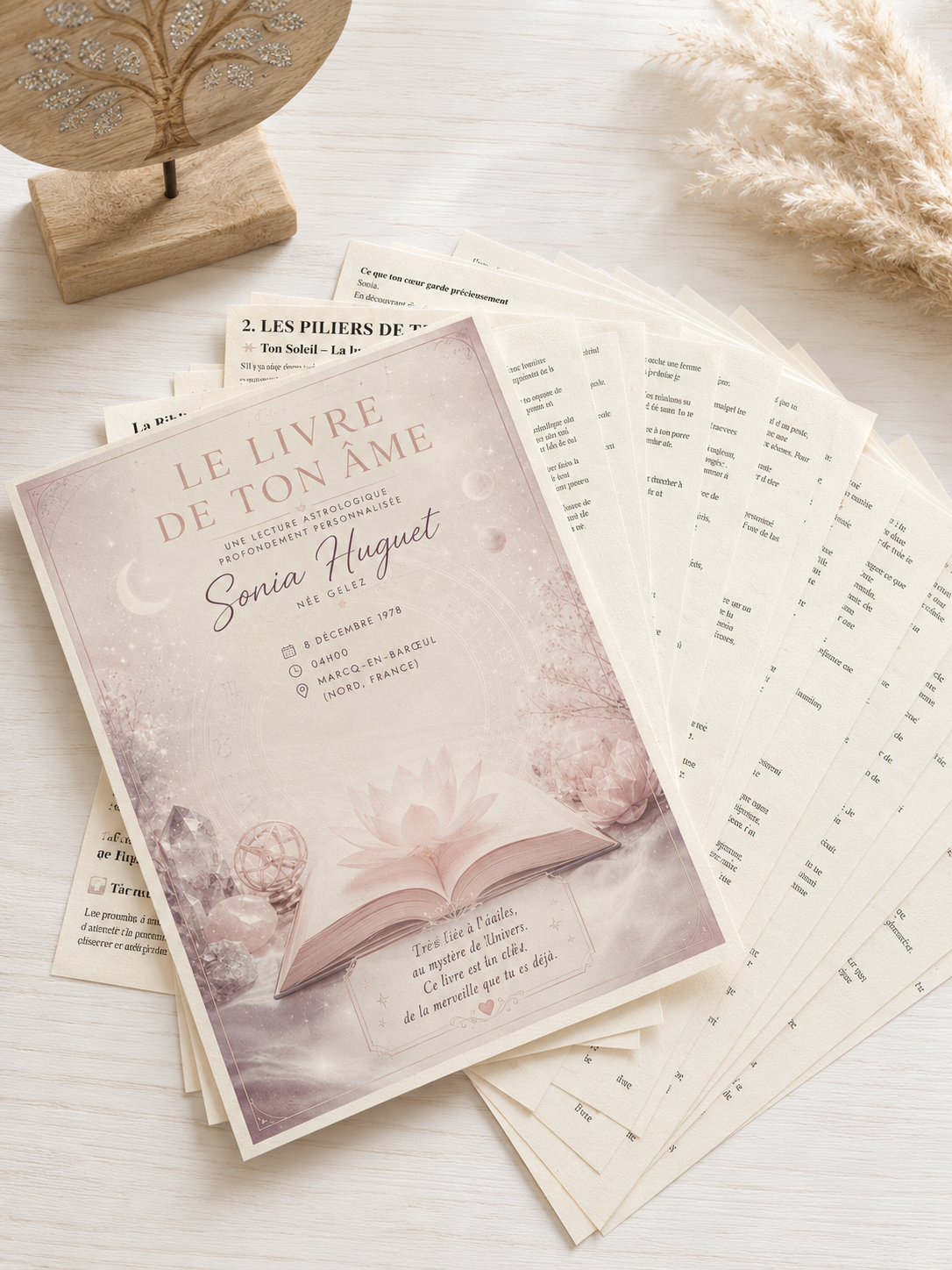 Le Livre de ton Âme ✨

Une lecture intuitive inspirée de ton thème de naissance. 🎁