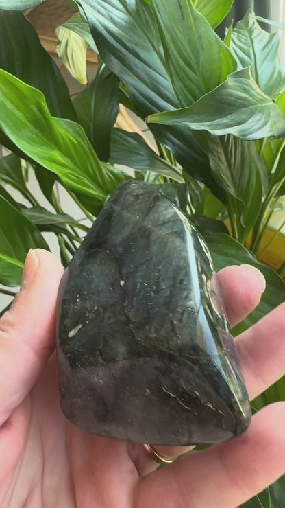 Labradorite 🖤