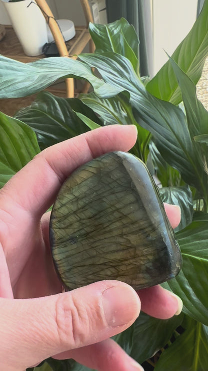 Labradorite 🩶